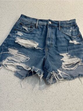 American Eagle Outfitters Highest Rise 90s Boyfriend Short Size 8